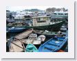 0601cSaiKung - 09